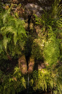 Levada 25 fontes, Portekiz