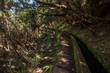 Levada 25 fontes, Portekiz