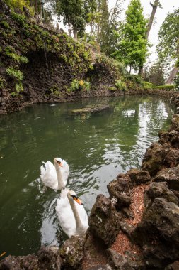 Tropikal Bahçe Monte Palace