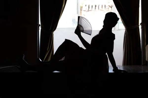 Silhouette of pinup girl — Stock Photo, Image