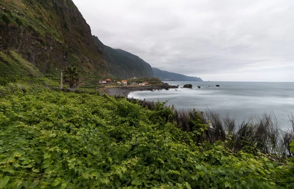 Виноградник на острове Мадейра — стоковое фото