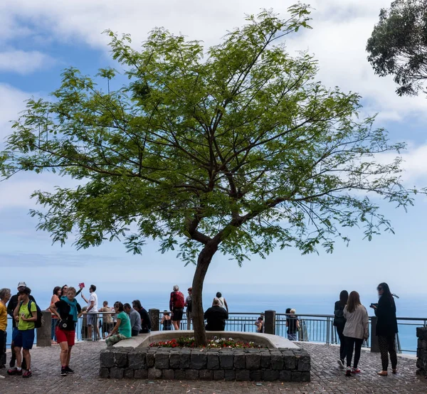 Point de vue Cabo Girao — Photo