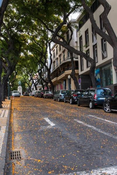 Strada tipica della città di Funchal — Foto Stock