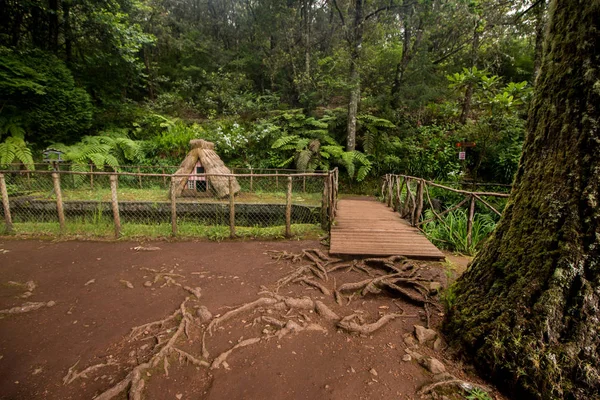 Levada Caldeirao-foki Köztársaság — Stock Fotó