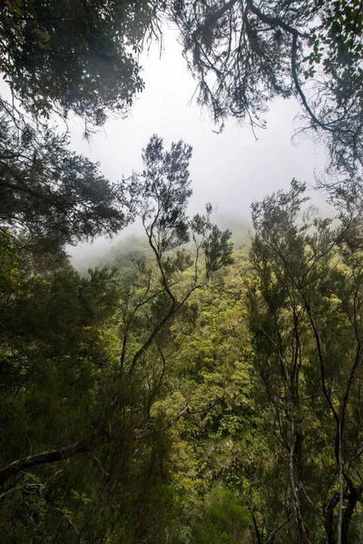 Levada Caldeirao Verde