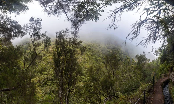 Levada de Caldeirao Verde — Foto de Stock