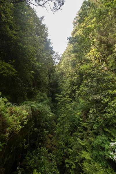 Levada of Caldeirao Verde — Stock Photo, Image