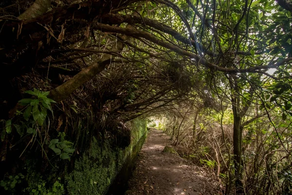 Levada of Caldeirao Verde — Stock Photo, Image