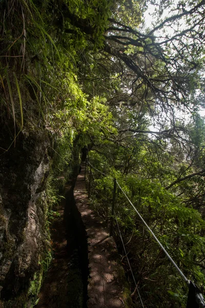 Levada Caldeirao Verde — Zdjęcie stockowe