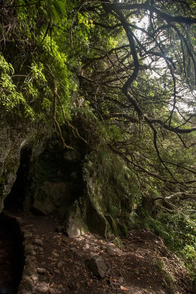 Levada Caldeirao Verde — Zdjęcie stockowe