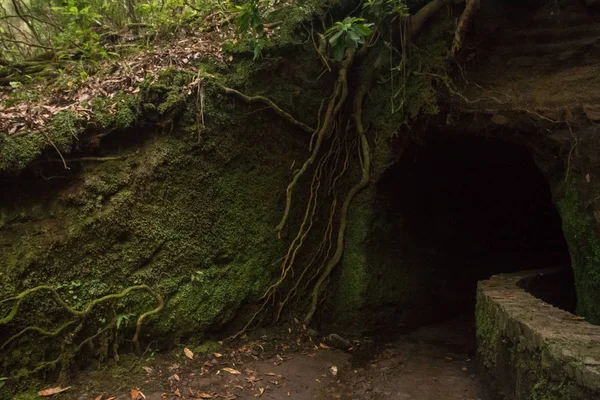 Levada de Caldeirao Verde — Foto de Stock