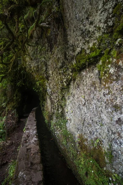 Levada Caldeirao Verde — Zdjęcie stockowe