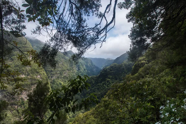 Levada Caldeirao Verde — Stock fotografie