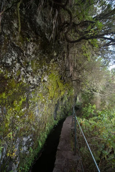 Levada de Caldeirao Verde — Foto de Stock