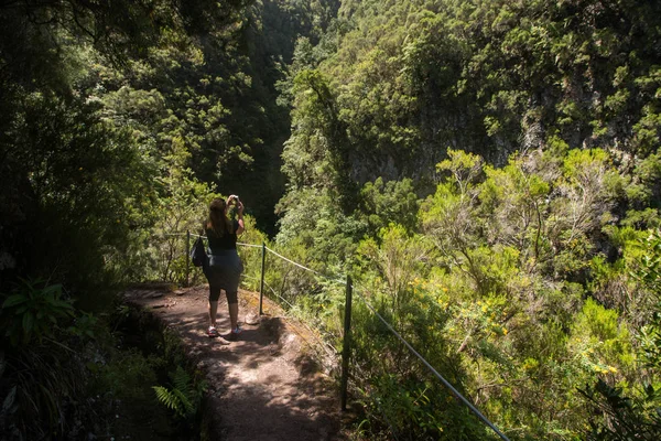 Levada de Caldeirao Verde — Foto de Stock