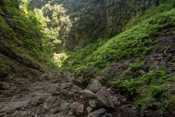 Levada Caldeirao Verde — Zdjęcie stockowe