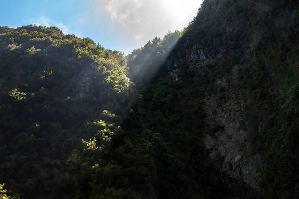 Levada av Caldeirao Verde — Stockfoto