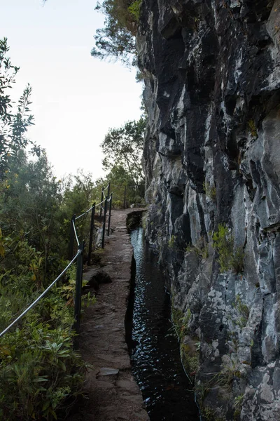 Caldeirao ヴェルデの Levada — ストック写真