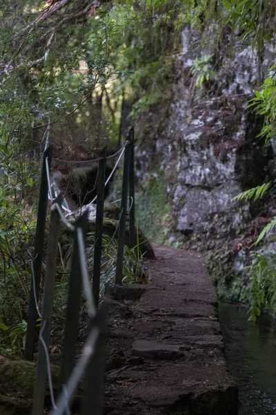 Levada of Caldeirao Verde — Stock Photo, Image