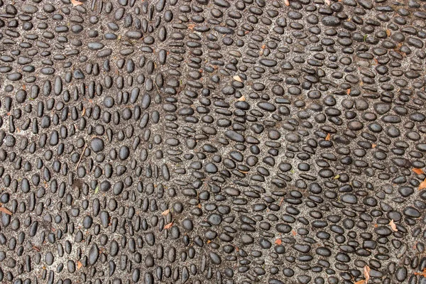Kivi ja sementti jauhettu rakenne — kuvapankkivalokuva