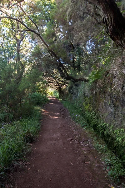 Levada 25 fontes, Portugalia — Zdjęcie stockowe