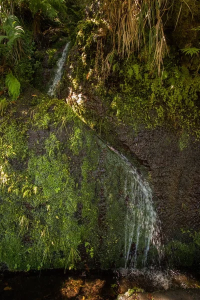 Levada 25 fontes, Portugalia — Zdjęcie stockowe