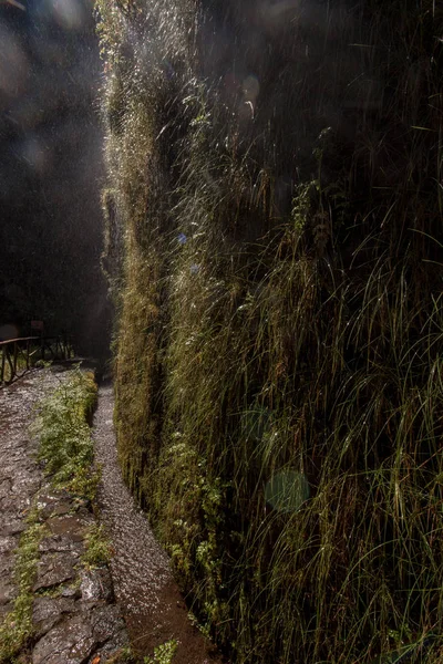 Levada von 25 Fontes, portugal — Stockfoto