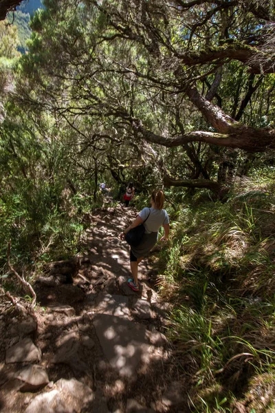 Levada van 25 fontes, Portugal — Stockfoto