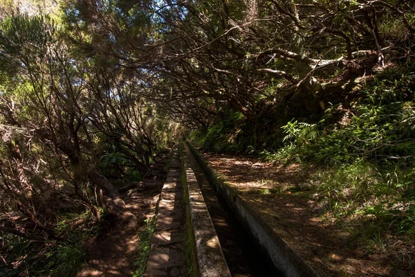 Levada 25 fontes, Portugalsko — Stock fotografie