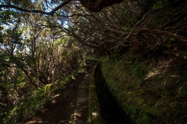 Levada 25 fontes, Portugalsko — Stock fotografie