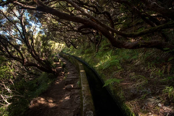 Levada 25 fontes, Portugalia — Zdjęcie stockowe