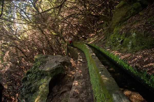 Levada 25 fontes, Portugalia — Zdjęcie stockowe