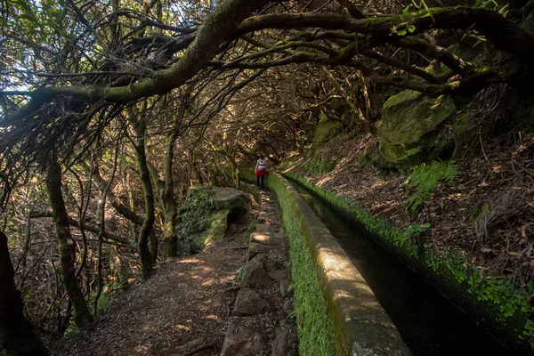 Levada 25 fontes, Portugalsko — Stock fotografie