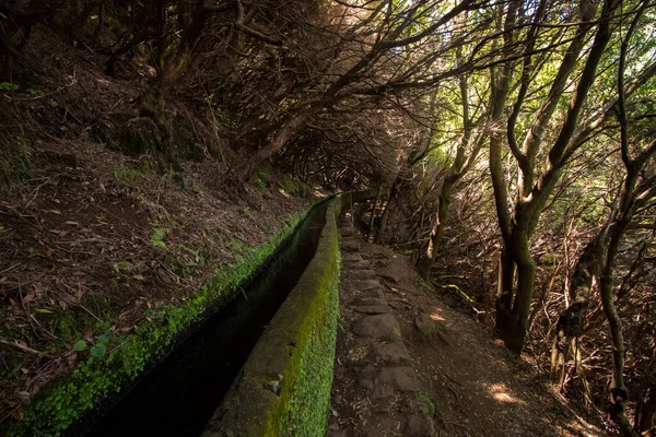 Levada 25 fontes, Portugalsko — Stock fotografie