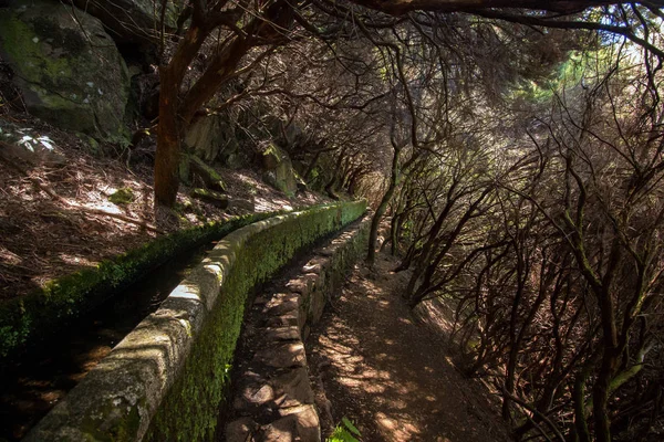 Levada 25 fontes, Portekiz — Stok fotoğraf