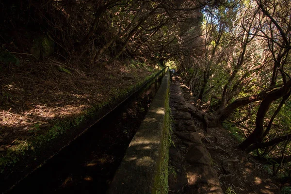 Levada von 25 Fontes, portugal — Stockfoto