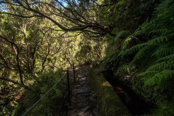 Levada 25 fontes, Portugalia — Zdjęcie stockowe