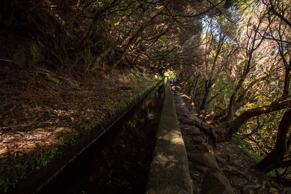 Levada von 25 Fontes, portugal — Stockfoto