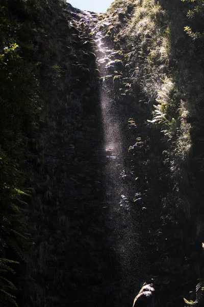 25 ホテル, ポルトガルの Levada — ストック写真