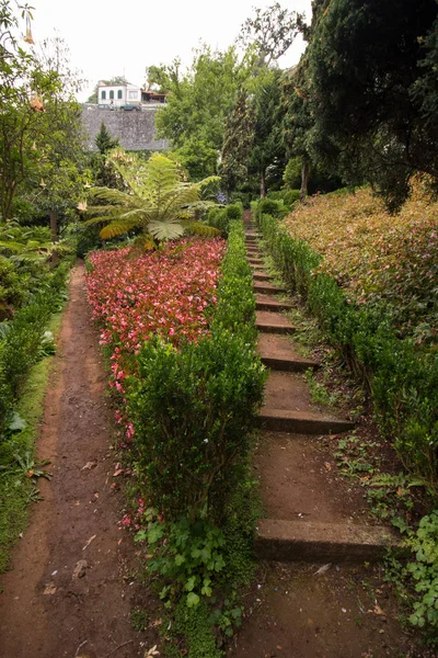 Ogród tropikalny Monte Palace — Zdjęcie stockowe