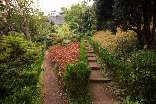 Jardín tropical Monte Palace — Foto de Stock