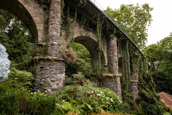 Ogród tropikalny Monte Palace — Zdjęcie stockowe