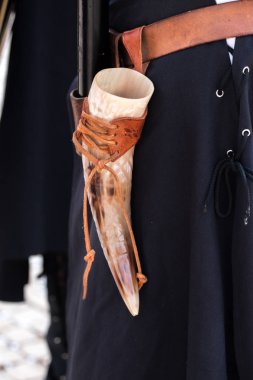 Ortaçağ boynuz Kupası