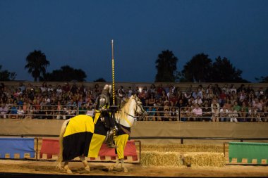 At ile Ortaçağ savaşçı