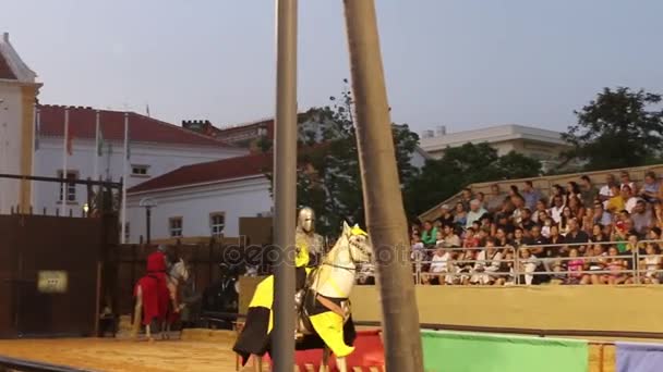 Medieval warriors in horses — Stock Video