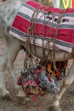 Ortaçağ okçuluk hedefleri