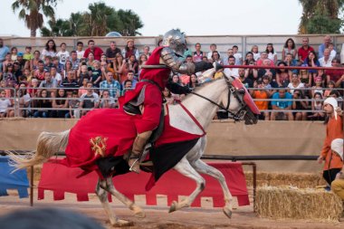 Medieval warrior with horse clipart