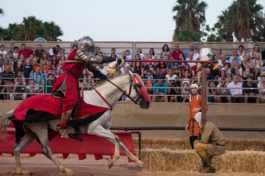 Medieval warrior with horse clipart