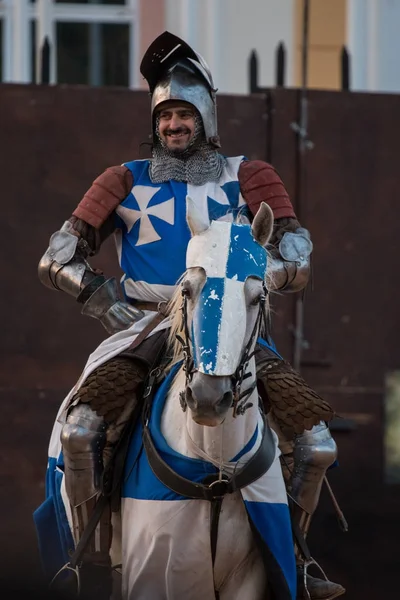 Średniowieczny Wojownik Koń — Zdjęcie stockowe