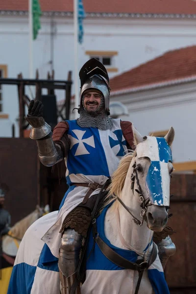 Mittelalterlicher Krieger mit Pferd — Stockfoto